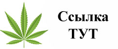 Купить наркотики в Первомайске